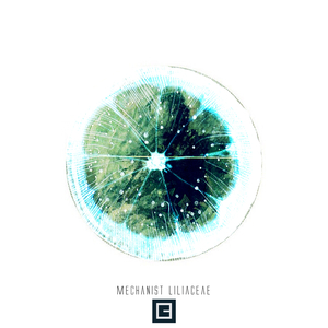 Taqrat (Original Mix)