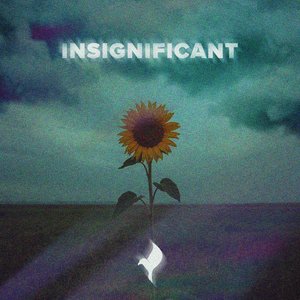 Insignificant