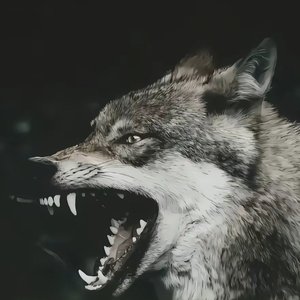 Dj-Ataman-Hayat hiyali（Dj-Ataman remix）