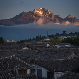 茉莉（Prod.ByDolBeatz）