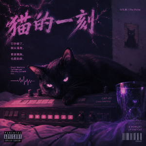 猫的一刻