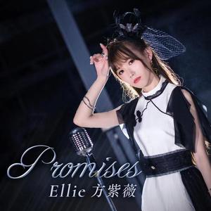 Promises - Chinese version - (Short ver.)
