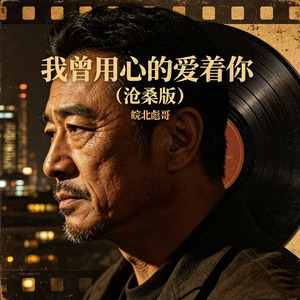 我曾用心爱着你(沧桑版)