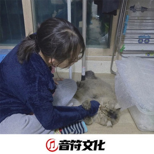 有钱你就嗨 (DJ版)