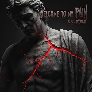 Welcome to my pain