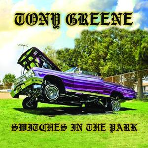 Switches In The Park