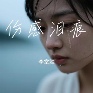 伤感泪痕