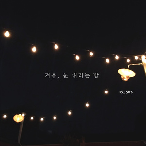 겨울, 눈 내리는 밤