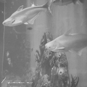 每当我遇见你的时候，总会