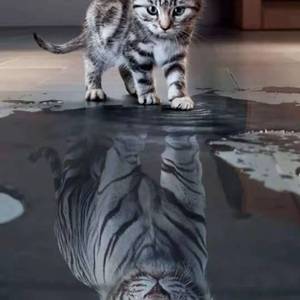 爱何求（DJ版）