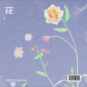 倒流·时间的花