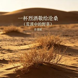 一杯烈酒敬给沧桑（荒漠中的野草）