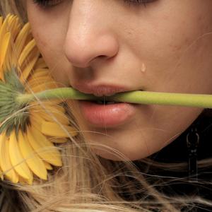 [FREE]"why" Soft 808 Ver.