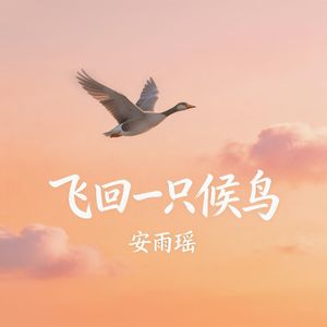 飞回一只候鸟