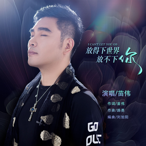 放得下世界放不下你