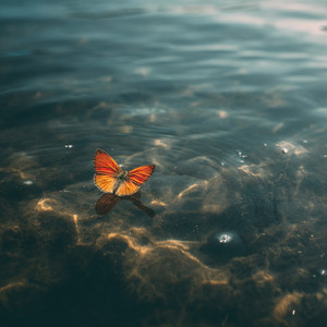 你是否也曾听过