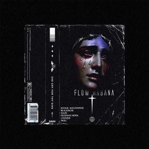 Flow Habana