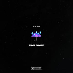 Pas sage