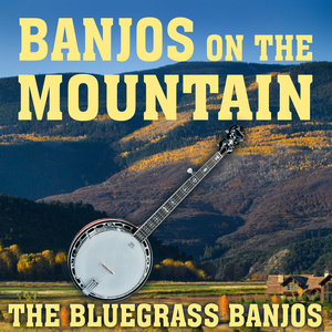 Feudin' Banjos
