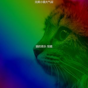 微妙的可爱的猫心情