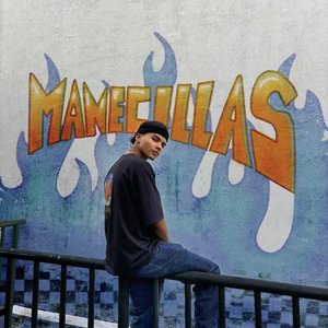 Manecillas