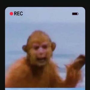 好好生活，慢慢相遇