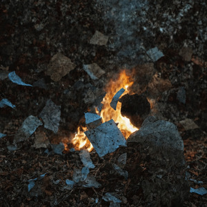 Catharsis