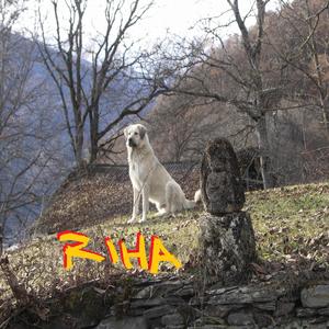 New Year (It Will Be Funky)