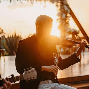 Wildest Dreams (Violin)