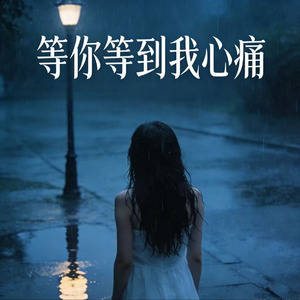 等你等到我心痛(空灵版)