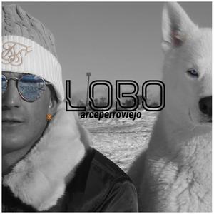 Lobo