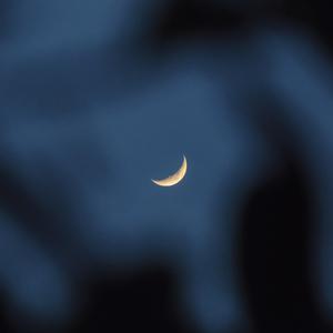 爱我（cover：袁姗姗）