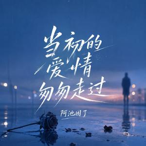 当初的爱情匆匆走过