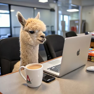 这结局 原来早就写在卷首