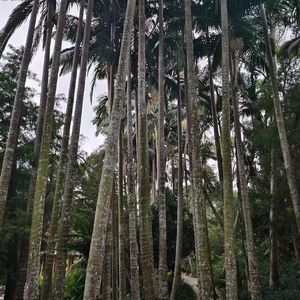 《浮躁退散后的涵养之境》Warm棉花糖奶昔-兴奋-流行