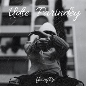 udte parindey (feat. Rich key)
