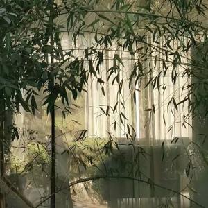 云水禅心（古筝）