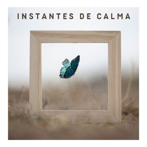 Noches Infinitas