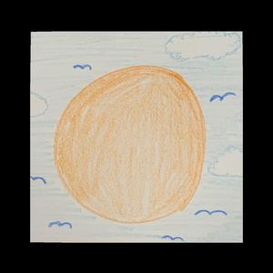 Ibis (Dedicated to Akira Toriyama)