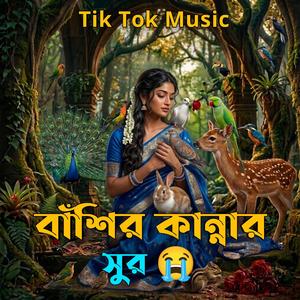 বাশির কান্না - Bashir Kanna - Sad Music - Sous Le Ciel de - Tik Tok Music