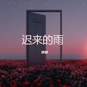 迟来的雨