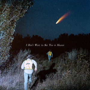 Body Horror for Birds