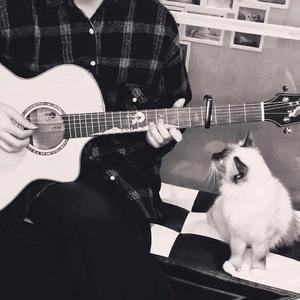 人生的旋转木马