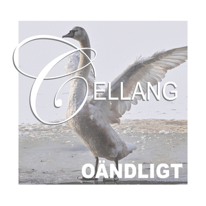 Oändligt