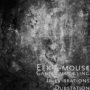 G***a Smuggling IrieVibrations Dubstation