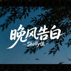晚风告白