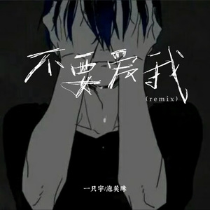 不要爱我（remix）