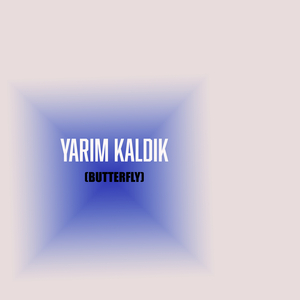 Yarım Kaldık