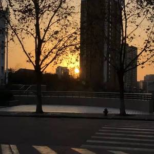 下落不明（无动于衷）