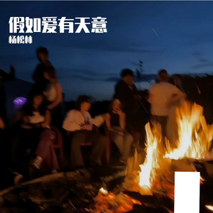 假如爱有天意